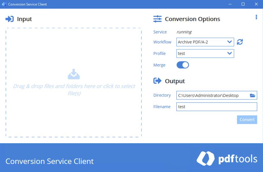 Screenshot of the PDF Client for Conversion Service.